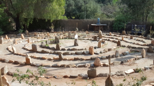 lavender-circles pic